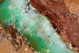 Polished Green Chrysoprase Slab - Western Australia #353699-1